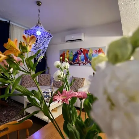 Casa Vacanza Maddy Blue Apartman